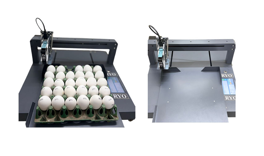 RYO Egg Printing Machine